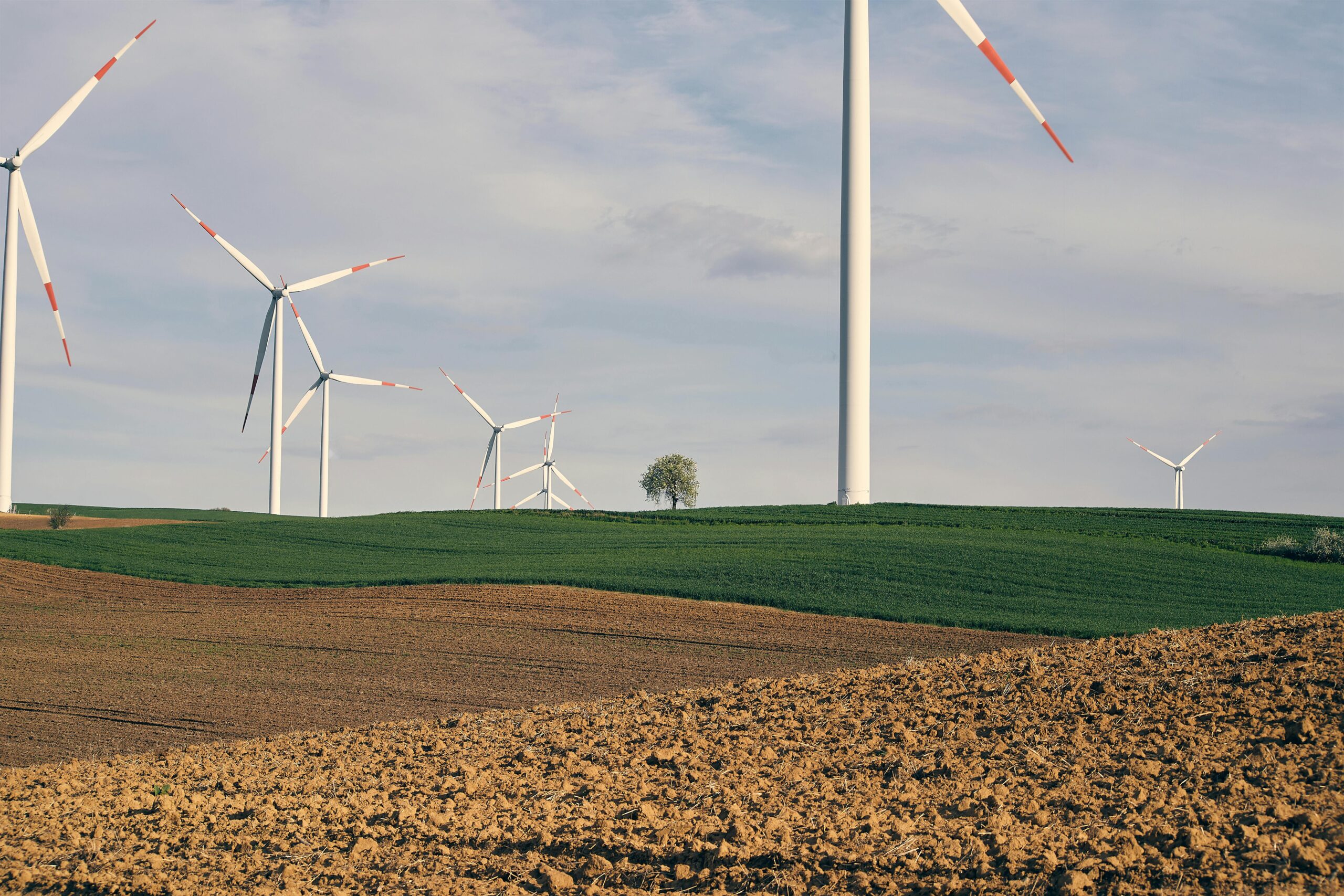 Wind farm